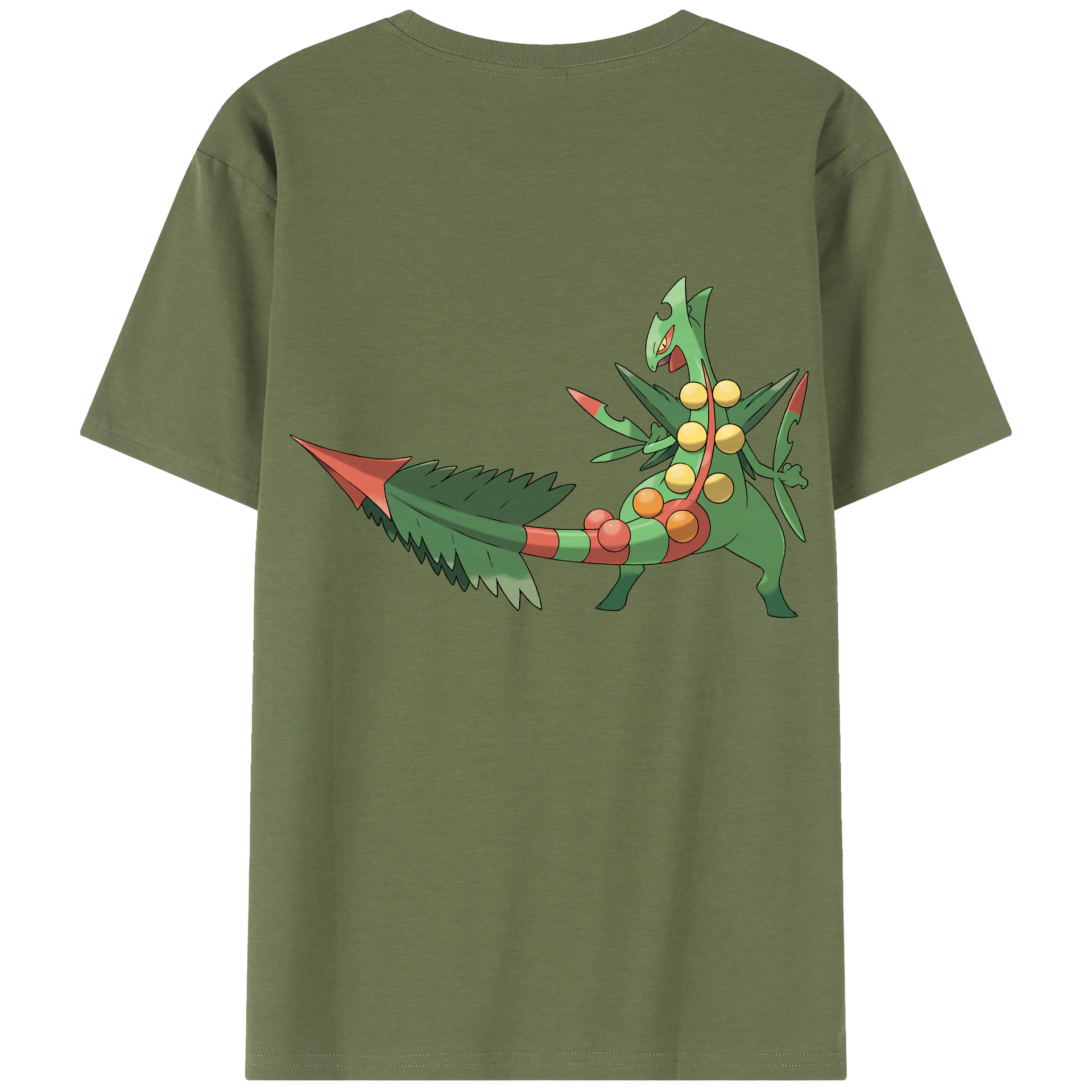（画像用） ポケットモンスター Pokémon 綿100％半袖Tシャツ（背面プリント）